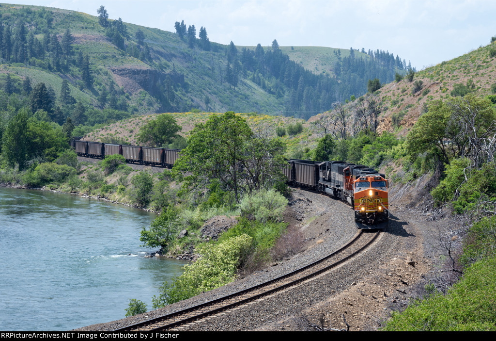 BNSF 5341